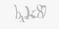 Защитный код
