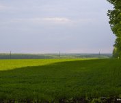 На полях Бутурлиновского района