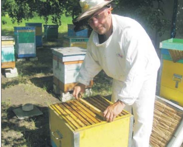 пчеловодство мед бутурлиновка
